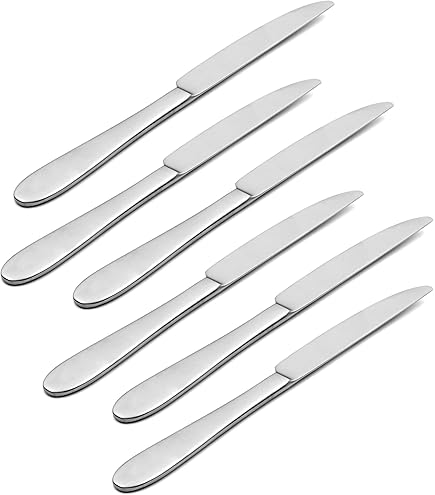 Amazon.com: Oneida 2267004F Easton Fine Flatware Dinner Knives